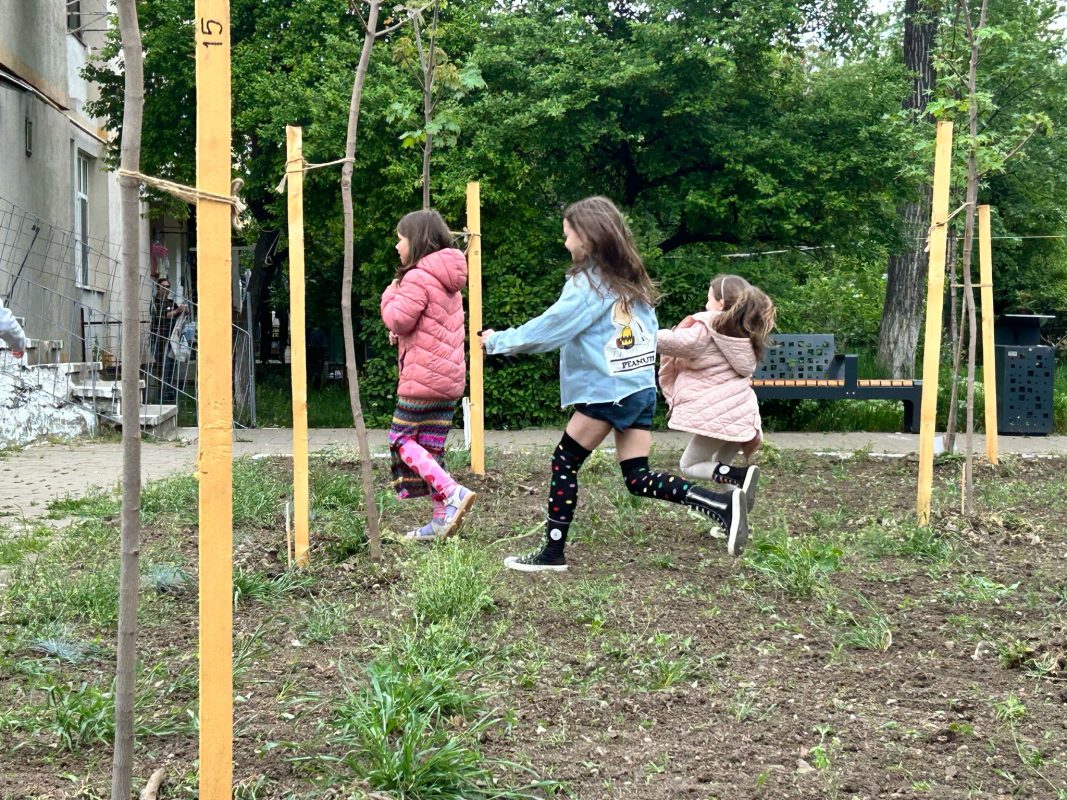 Activitate regenerare verde în locul de joacă din Bvd. Al. cel Bun, nr.70, Iași